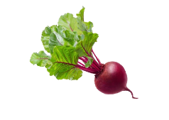 Beetroot