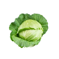 Cabbages